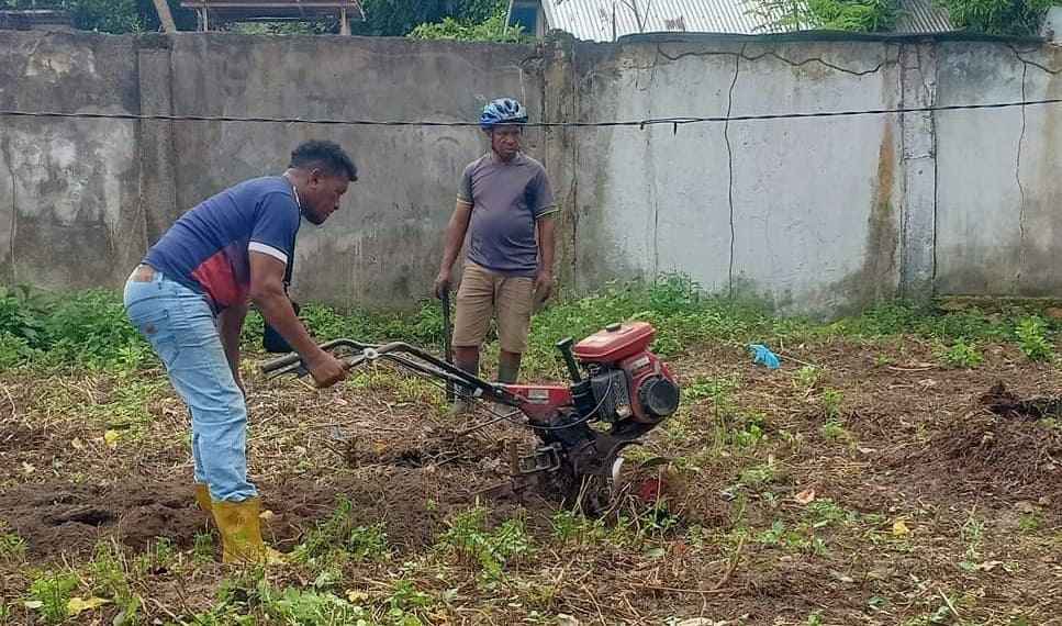 Read more about the article Pembukaan Lahan dan Persiapan Lahan Tanaman Pangan Kelompok Tani Dasa Wisma Siba Bersama Penyuluh Pertanian DKPP Kab. Kaimana.