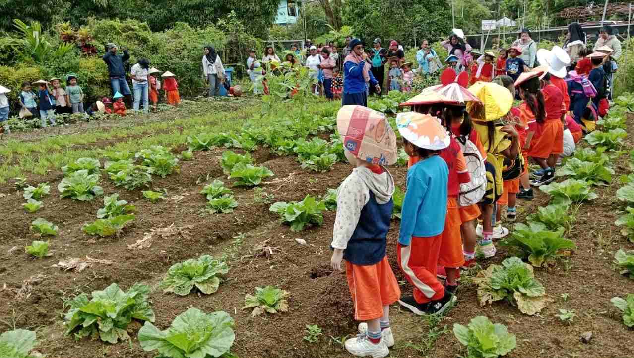 Read more about the article Kegiatan Outing Class to Dinas Ketahanan Pangan dan Pertanian Kab. Kaimana oleh TK Pertiwi Kab. Kaimana