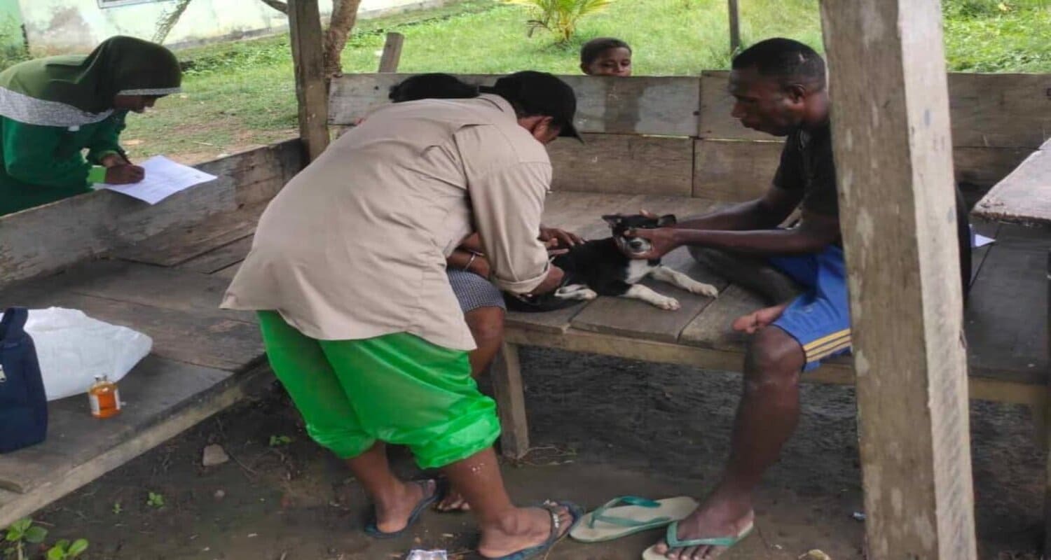 Read more about the article Pengobatan Ternak oleh Dinas Ketahanan Pangan dan Pertanian Kab. Kaimana di Distrik Kambrauw