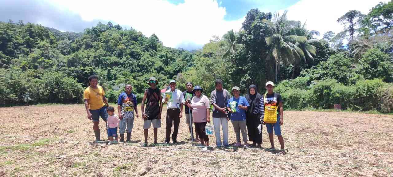 Read more about the article Pembuatan Demplot Tanaman Jagung Seluas 1 Ha oleh Penyuluh Pertanian di Lingkungan BPP Krooy Kaimana