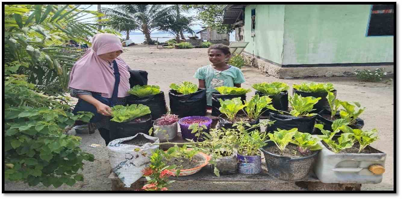 Read more about the article Monitoring Pekarangan Pangan Lestari (P2L) di Kampung Sisir Distrik Kaimana.