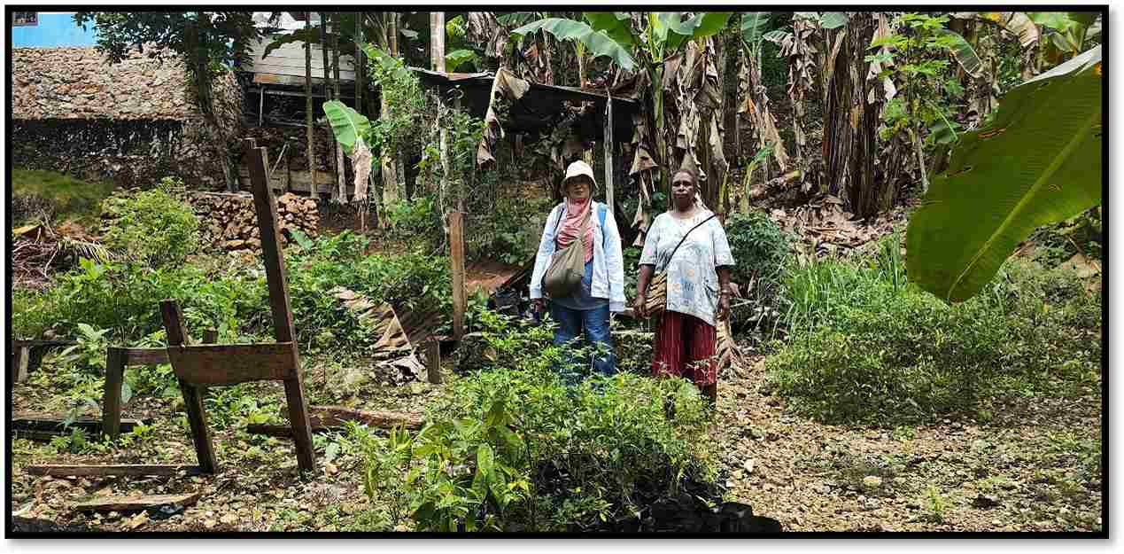 Read more about the article Monitoring Pekarangan Pangan Lestari (P2L) di Kampung Fromajaya Distrik Kaimana.